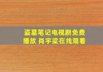 盗墓笔记电视剧免费播放 肖宇梁在线观看